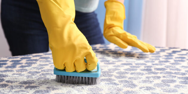 Правила домашней чистки ковров