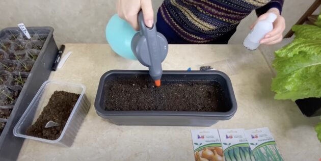 Как сажать лук семенами на рассаду: Подготовьте ёмкости для рассады