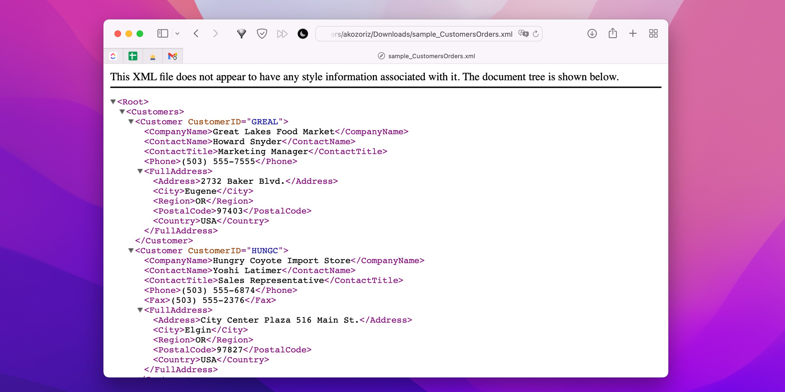  XML 