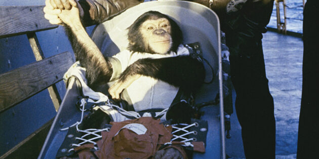 Космическая гонка в США привела к экспериментам над обезьянами