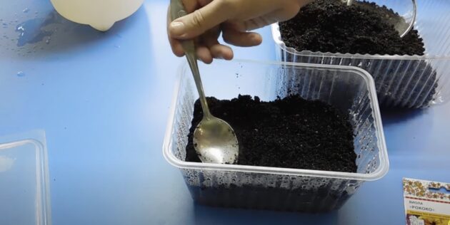 Как сажать виолу на рассаду: поверх семян насыпьте грунт слоем не более 0,5 см. Разровняйте его поверхность ложкой
