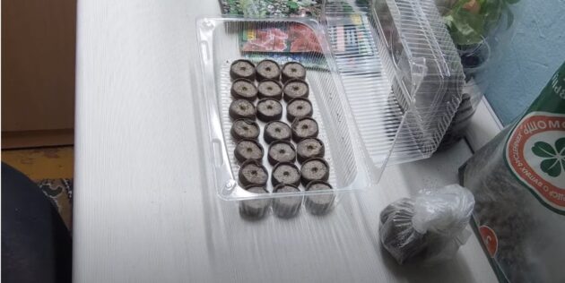 Как пользоваться торфяными таблетками для рассады: положите их в контейнер