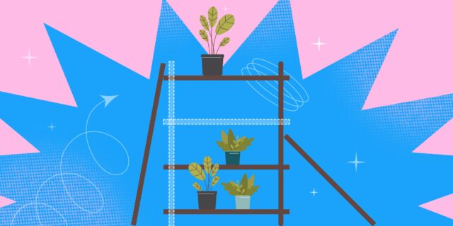 12 ways to make a rack for seedlings with your own hands