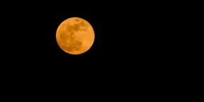 Днём 7 марта в небе появится «Луна Червя»