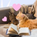 Как найти любовь с помощью «теории дивана»