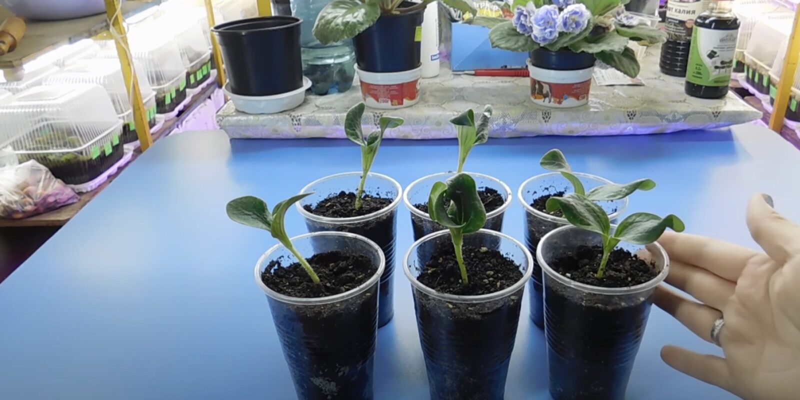 Прогрев почвы для посадки