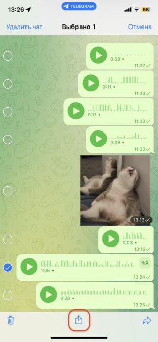 Как скачать голосовое сообщение из Telegram в iOS: нажмите «Поделиться»