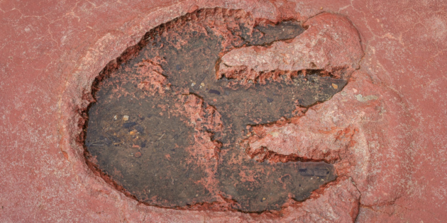 древние животные