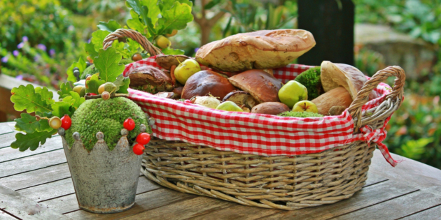 сбор грибов