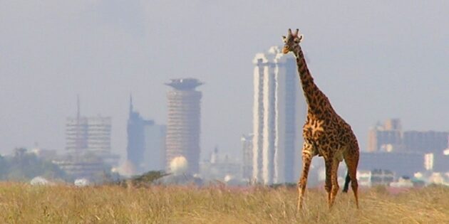 Опасные города мира: Найроби, Кения