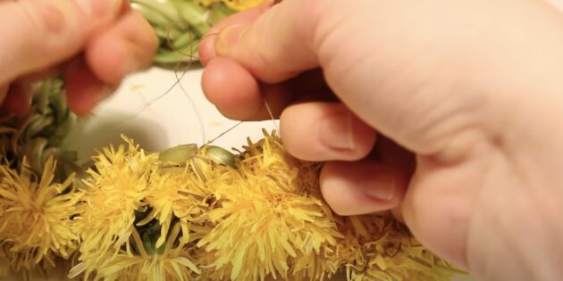 Как делать венок из одуванчиков и других цветов: скрепите концы ниткой