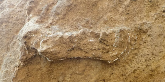 Учёные обнаружили самые древние следы Homo sapiens — им 153 000 лет