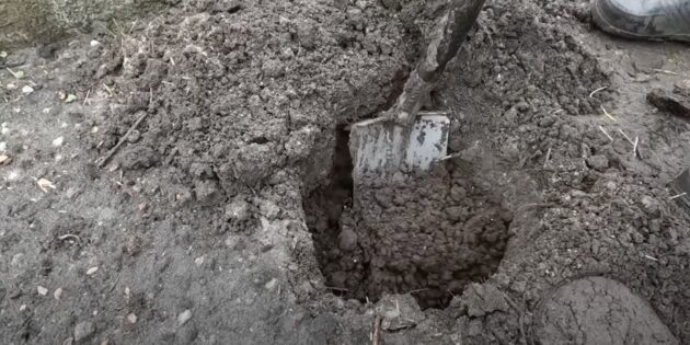 Когда и как сажать гортензию: выкопайте яму