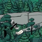 Зачем учиться синрин-йоку — японскому искусству гулять по лесу