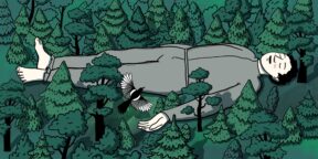 Зачем учиться синрин-йоку — японскому искусству гулять по лесу