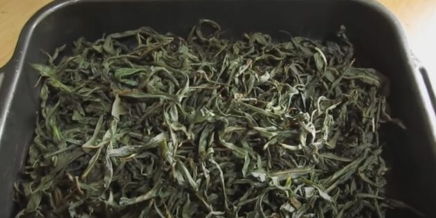 Как сушить иван-чай: разложите ферментированные листья на противне