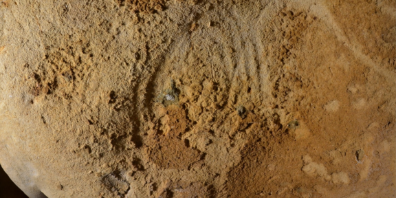 Во Франции нашли старейшие неандертальские наскальные рисунки