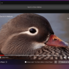 DuckDuckGo для Windows