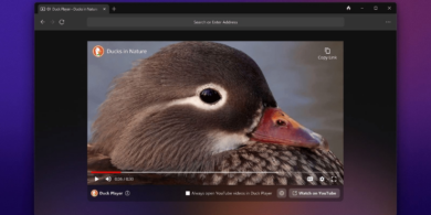 DuckDuckGo для Windows