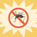 как избавиться от комаров