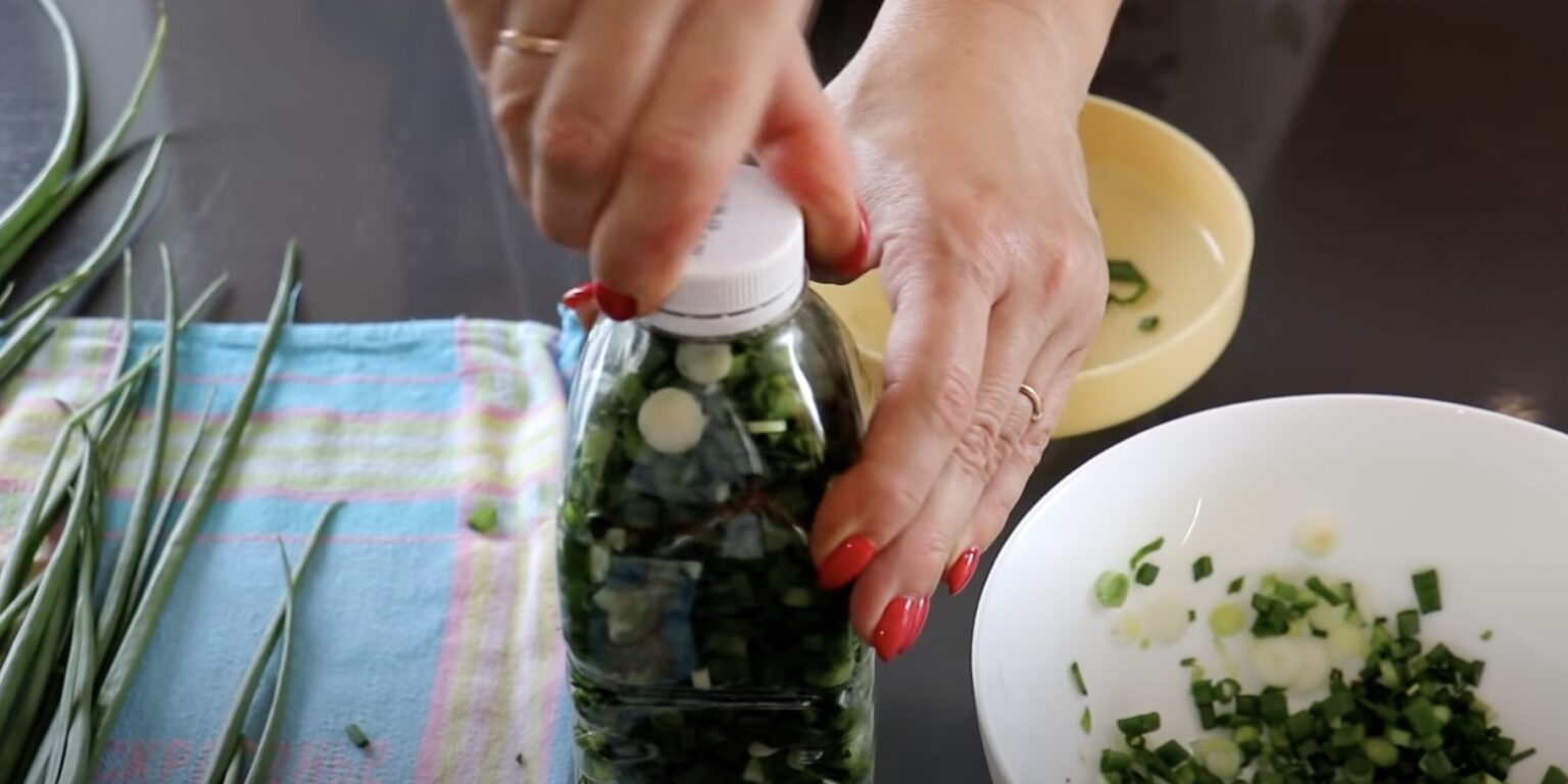 Зеленый лук, замороженный в формочках для льда