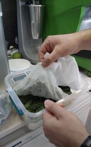Как хранить свежую мяту в холодильнике: положите мяту и салфетки слоями