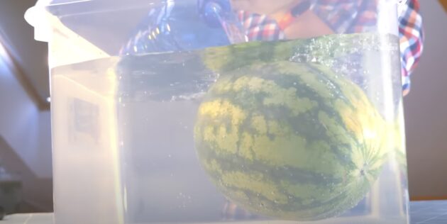Как хранить арбуз: засуньте плод в воду
