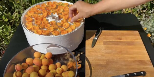 Как сушить абрикосы в домашних условиях: выложите абрикосы на поддон