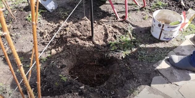 Когда и как пересаживать малину: сделайте посадочную яму