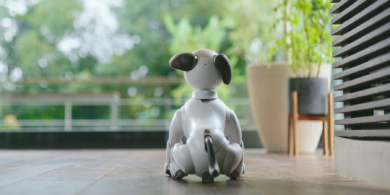 sony aibo