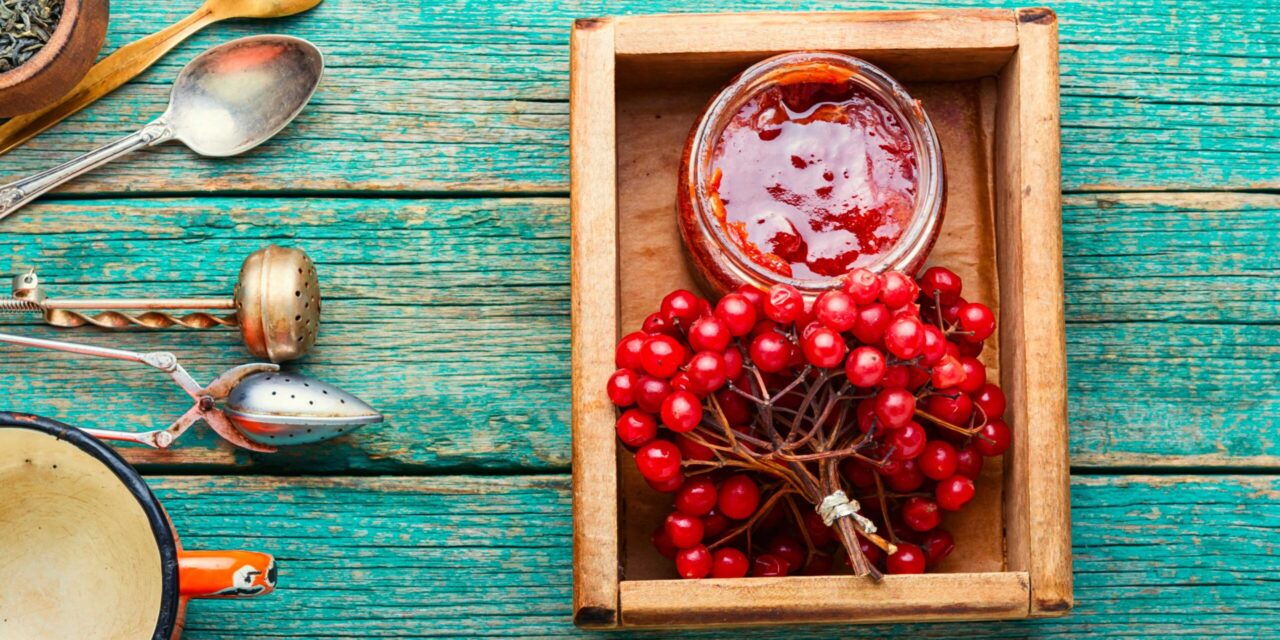 Что можно приготовить из калины: рецепты красной ягоды на зиму