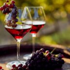 10 способов сделать потрясающее вино из винограда в домашних условиях