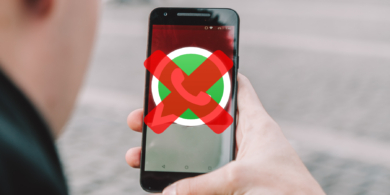 whatsapp поддержка