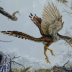 Палеонтологи нашли новый вид из недостающего звена между динозаврами и птицами