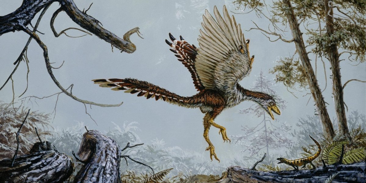 Возникновение первых птиц эра. Археоптерикс Эра. Археоптерикс динозавр. Мезозойская Эра Археоптерикс. Юрский период Археоптерикс.