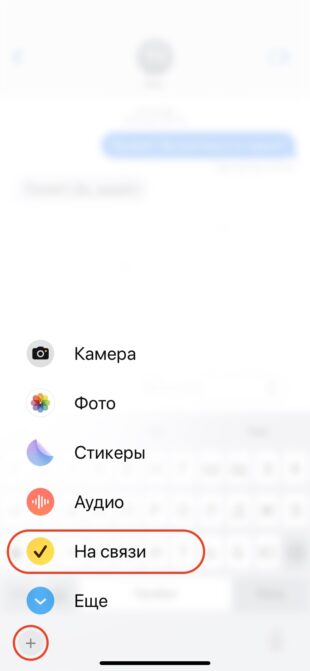Функция «На связи» в iOS 17: настройка в меню