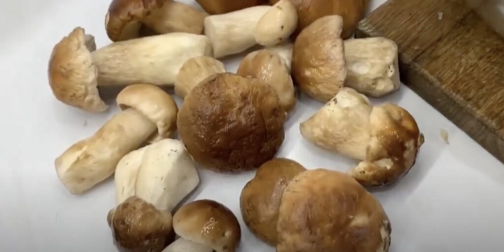Небольшие белые грибы можно заморозить целиком