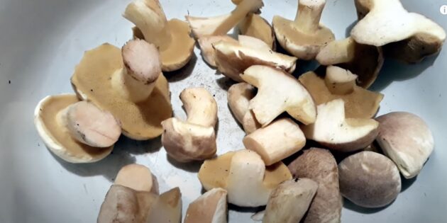 Как заморозить маслята на зиму: разрежьте грибы
