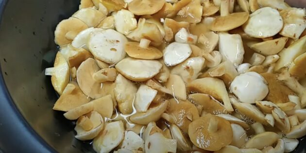 Как заморозить маслята на зиму: вымойте грибы