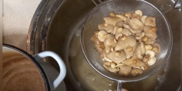 Как варить маслята: остудите грибы