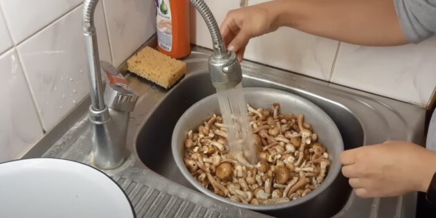 Промойте грибы под проточной водой