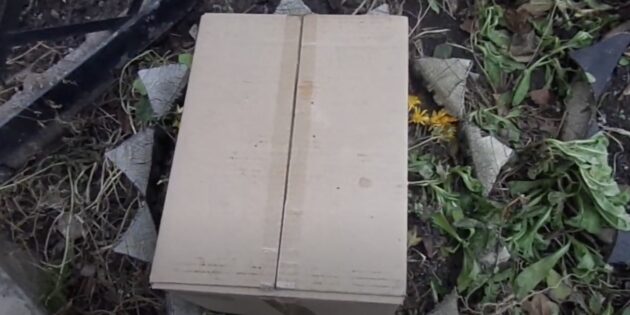 Как укрыть хризантему на зиму: накройте куст картонной коробкой