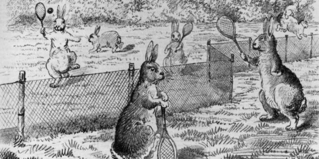 Карикатура 1884 года, иллюстрирующая эффективность кроличьего забора