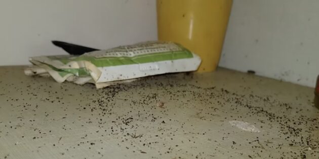 Как избавиться от тараканов в квартире: найдите чёрные точки на различных поверхностях
