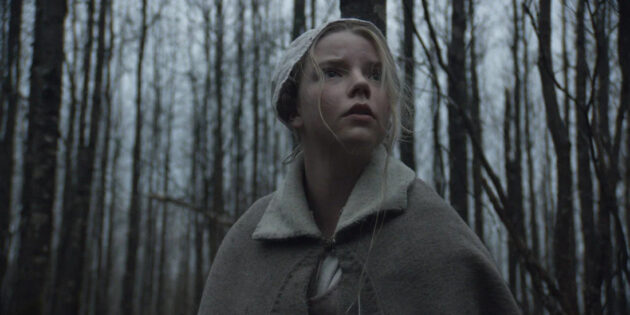 Кадр из фильма «Ведьма»