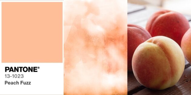 Peach Fuzz — главный цвет 2024 года