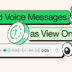 самоуничтожающиеся голосовые в WhatsApp