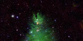 NASA показало скопление молодых звёзд в форме новогодней ёлки
