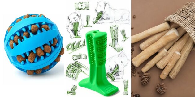 Как выбирать игрушки для собак