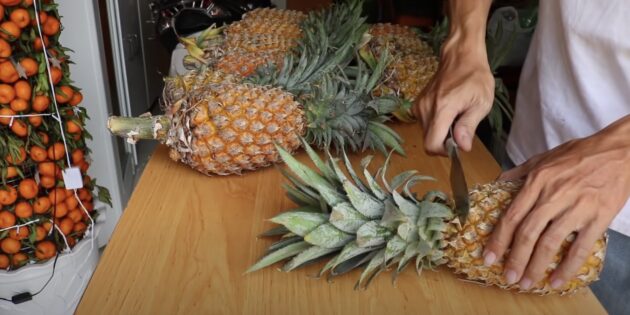 Как вырастить ананас в домашних условиях: пошаговая инструкция: Дом: Среда обитания: hb-crm.ru
